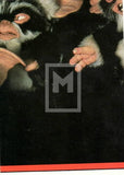 1990 Topps Gremlins 2 New Batch Sticker Trading Card 7 Red Back