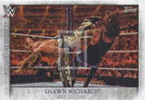 WWE Undisputed 2015 FF-1 Shawn Michaels HBK Famous Finishers Trading Card Front