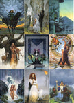 1996-FPG-Fantasy-Art-Don-Maitz-2-Trading-Card-Base-Set-1