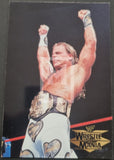 1999_Duocards_WWF-WWE-Wrestling_Photocards-Insert-Chase-4-Shawn_Michaels_Front