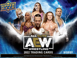 2022 Upper Deck AEW All Elite Wrestling Hobby Trading Card Sell Sheet CM PUNK