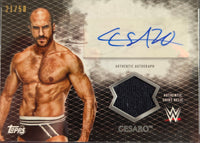 2025 It's A HIT! Pop Culture Mystery Pack SERIES 2 - 1 Encased Card per pack! Only 50 made!