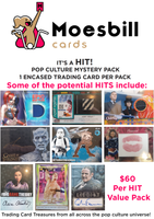 It's_a_Hit-Pop-Culture-Series-1-Mystery-Pack-Poster