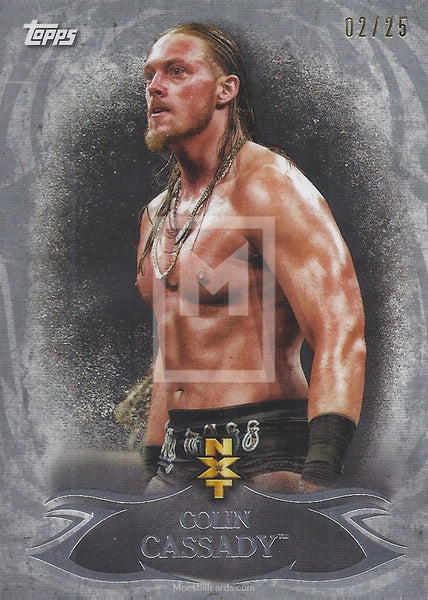 WWE Undisputed 2015 NXT-20 Colin Cassady Silver Parallel trading card Front