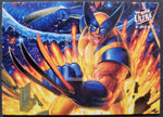 1994 X-Men Ultra Fleer Insert Trading Card 5 Wolverine Front
