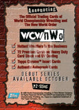 1998 Topps WCW NWO Series 1 Promo P2 Sting Trading Card Back