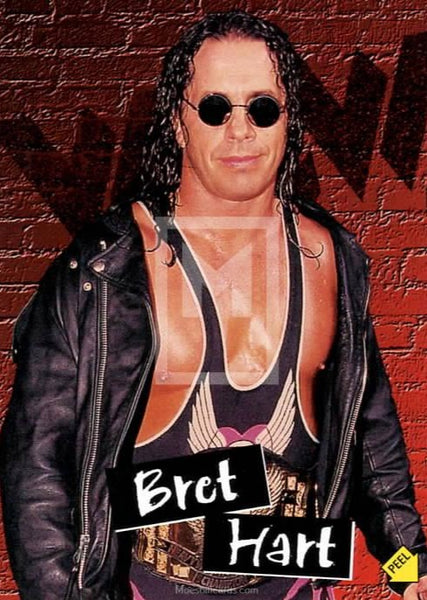 1998 Topps WCW NWO Series 1 Retail Insert Sticker S8 Bret The Hitman Hart Trading Card Front