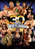 2014 WWE Road to Wrestlemania Insert Promo Trading Card Front