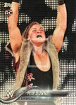2018 Topps WWE Wrestling Base Trading Card 74 Pete Dunne RC Rookie Card Front