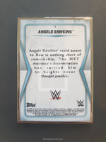 2020 Topps WWE Transcendent Base Trading Card 3 Angelo Dawkins Back