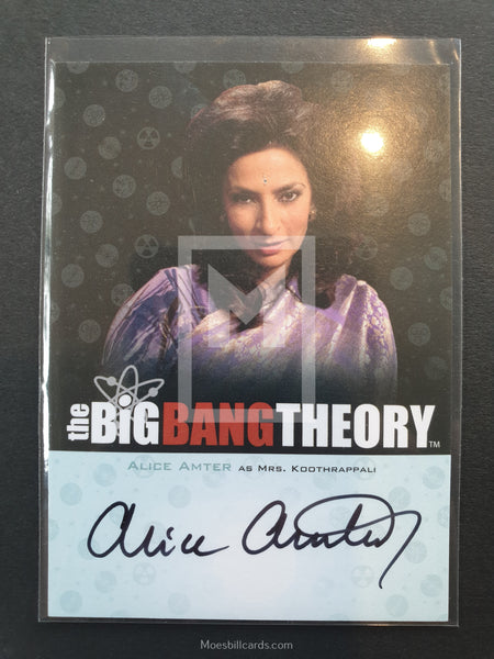 2013 Big Bang Theory Season 3 & 4 Autograph Trading Card A13 Amter Front