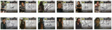 The Walking Dead Season 4 Part 2 Trading Card Autograph