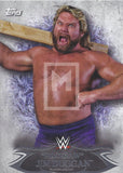 Topps 2015 WWE Undisputed Hacksaw Jim Duggan Base Trading Card 22 Front
