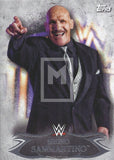 Topps 2015 WWE Undisputed Bruno Sammartino Base Trading Card 63 Front