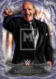 WWE Undisputed 2015 63 Bruno Sammartino Purple Parallel Base trading card Front