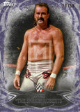 WWE Undisputed 2015 74 Jake The Snake Roberts Purple Parallel Base trading card Front