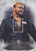 Topps 2015 WWE Undisputed Arn Anderson Base Trading Card 83 Front