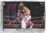WWE Undisputed 2015 FF-15 Bray Wyatt Famous Finishers Trading Card Front