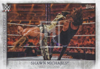 WWE Undisputed 2015 FF-1 Shawn Michaels HBK Famous Finishers Trading Card Front