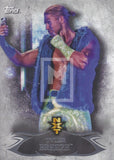 WWE Undisputed 2015 NXT 12 Tyler Breeze Base Trading Card Front