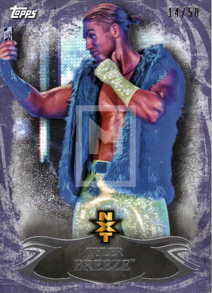 WWE Undisputed 2015 NXT 12 Tyler Breeze Purple Parallel Base Trading Card Front