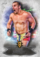 WWE Undisputed 2015 NXT 23 Mojo Rawley Base Trading Card Front