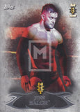 WWE Undisputed 2015 NXT 3 Finn Balor Base Trading Card Front