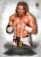 WWE Undisputed 2015 NXT 7 Buddy Murphy Base Trading Card Front